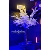 درخت شکوفه برای بزرگترین باشگاه گیمینگ ایران